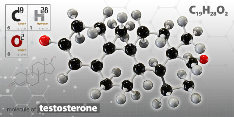 テストステロンを補給しED改善に導く「トノス」の使用法と注意点